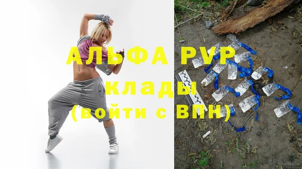 индика Абинск