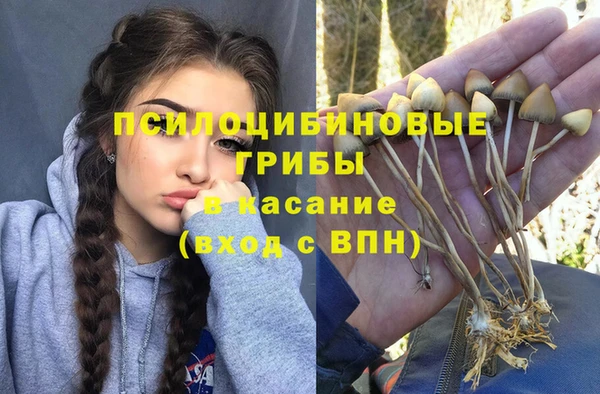 индика Абинск