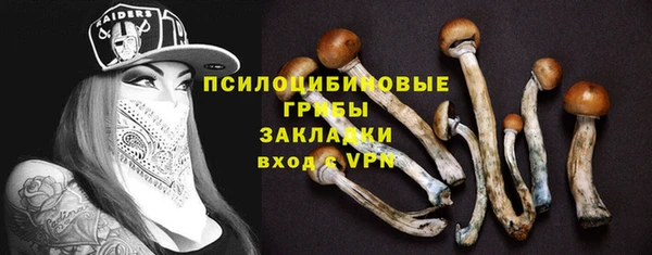 индика Абинск