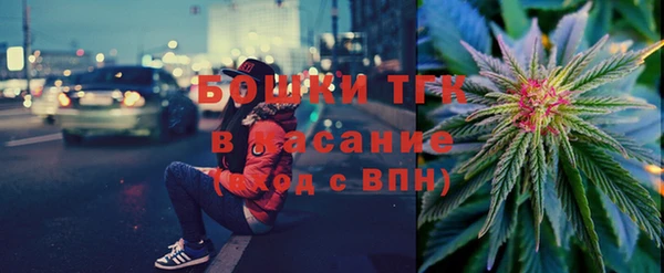 индика Абинск